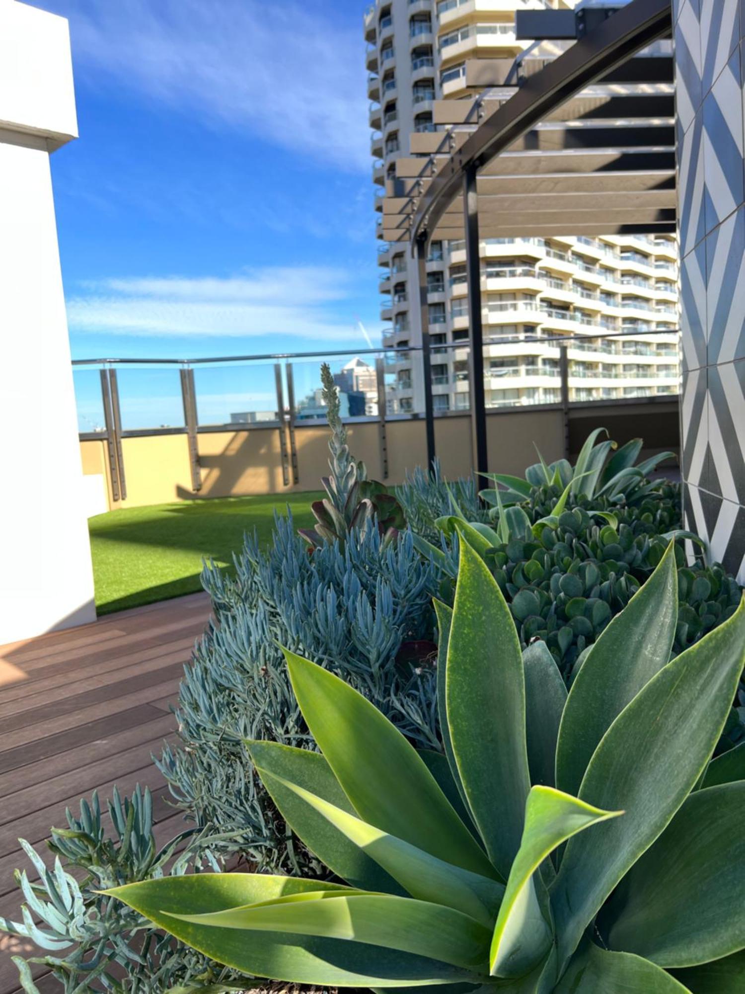 Sydney Hyde Park Private Apartments By Paxsafe Zewnętrze zdjęcie